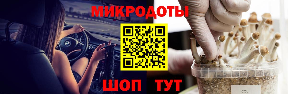 Галлюциногенные грибы MAGIC MUSHROOMS Екатеринбург